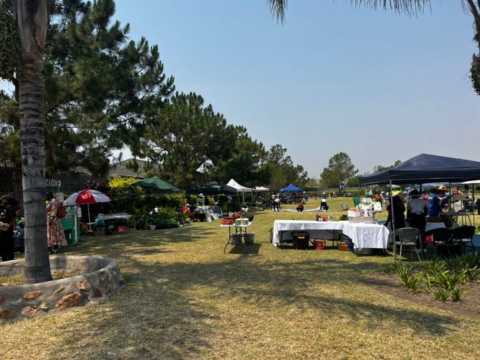 A wide view of the expo lawn under pine and palm trees, with stalls, umbrellas and canopies along both sides and visitors moving between them.
