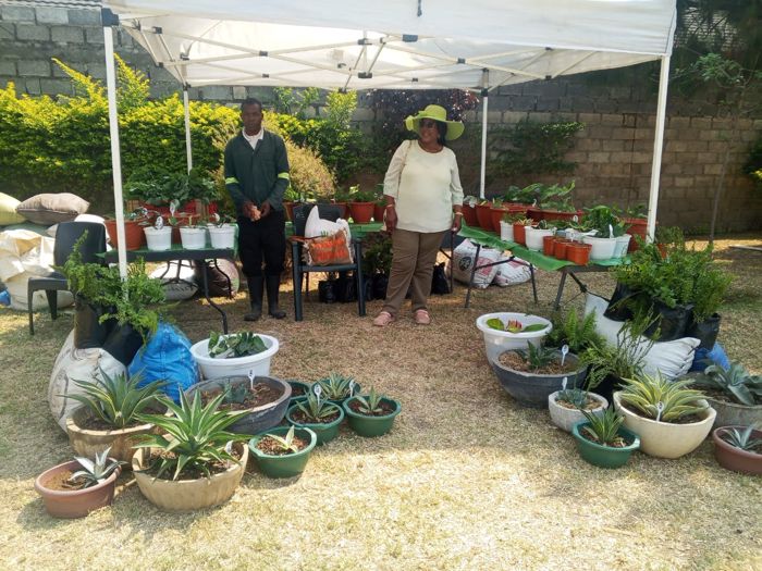 Two stallholders stand under a white canopy surrounded by pots of aloe, agave and ferns, with more plants lined up on the tables behind them.