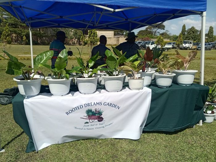A table of large-leaf potted plants under a blue canopy, with a banner reading “Rooted Dreams Garden – From Soil to Soul!”.