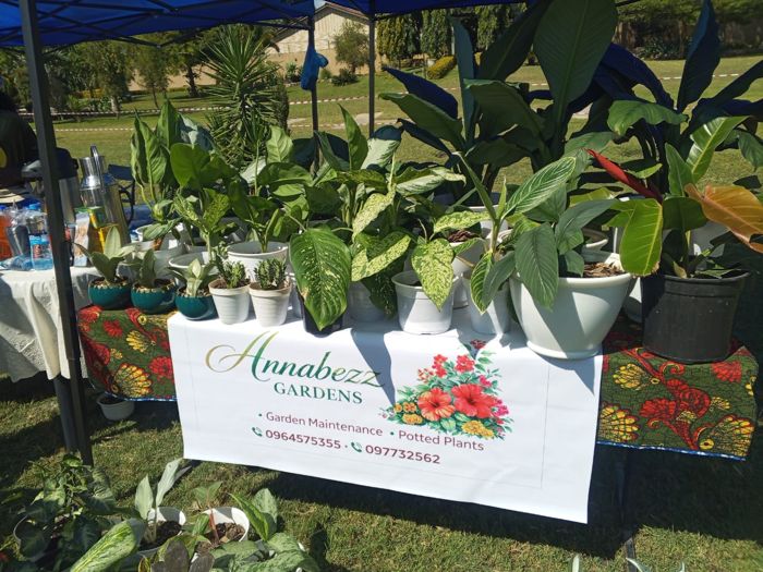 Green and variegated foliage plants crowd a table whose banner offers garden maintenance and potted plants, beside a table of drinks and snacks.
